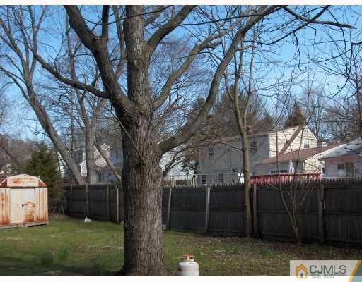 53 Tunison Road New Brunswick, NJ 08901 - Photo 10 of 10 a view of backyard with large trees
