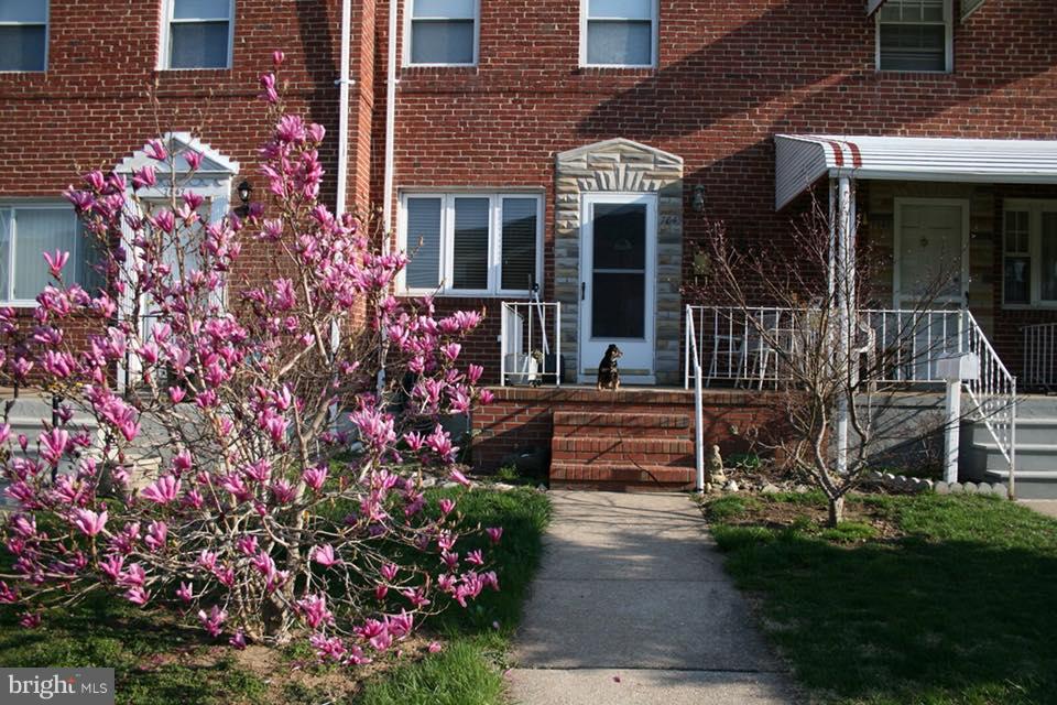 7845 Wynbrook Road Baltimore, MD 21224 - Photo 3 of 29 Trees are beautiful in springtime