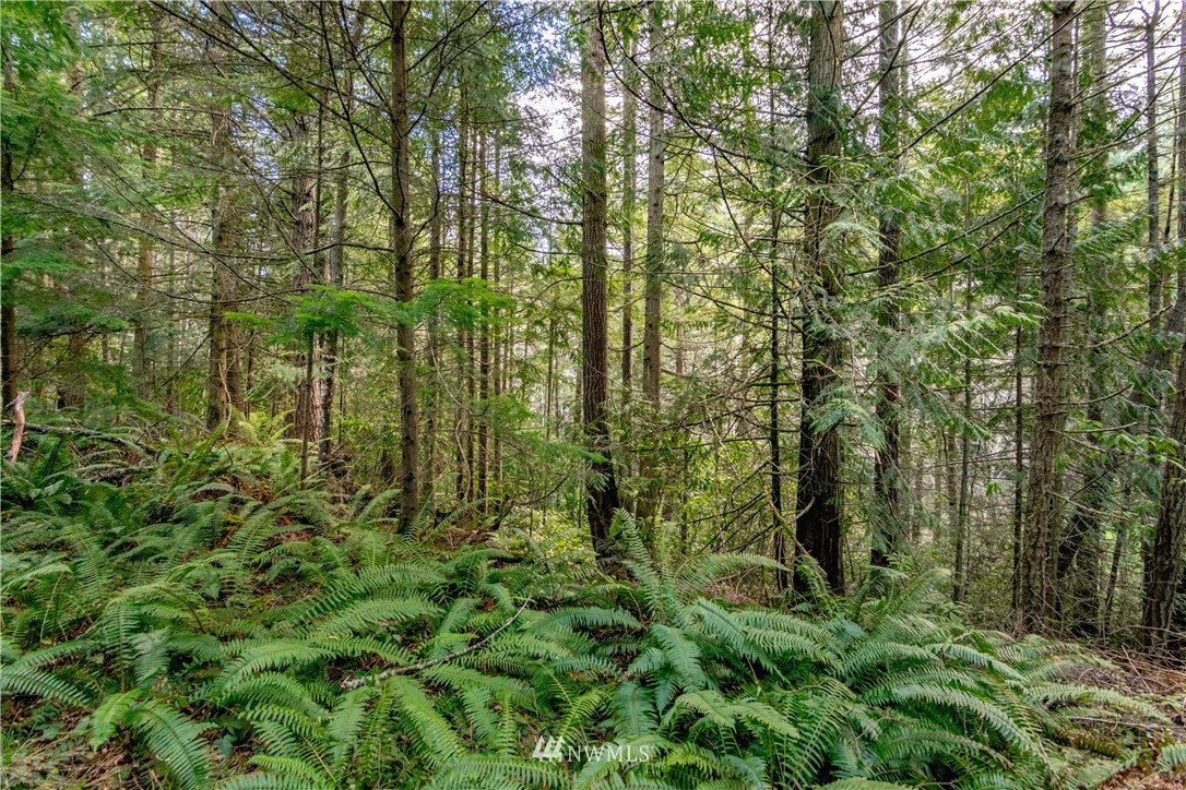 9999 Craig Road Sequim, WA 98382 - Photo 11 of 40 Gallery Image 11