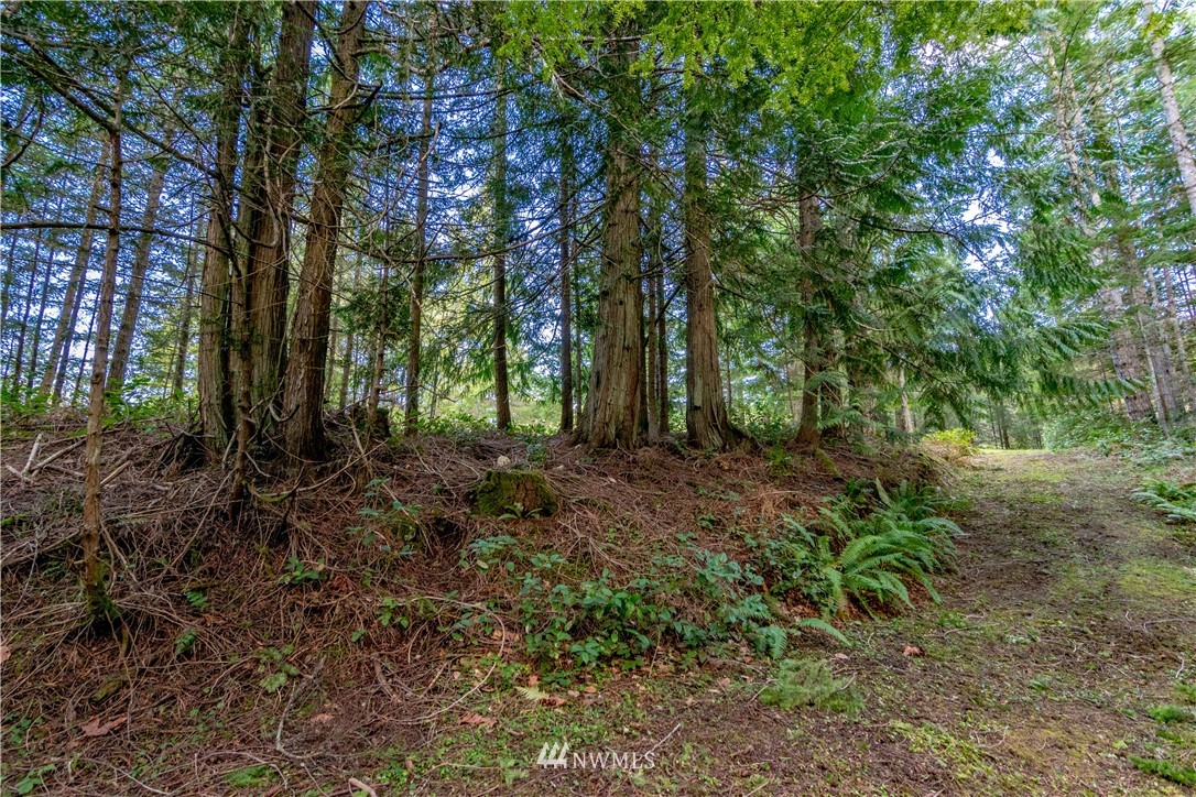 9999 Craig Road Sequim, WA 98382 - Photo 12 of 40 Gallery Image 12