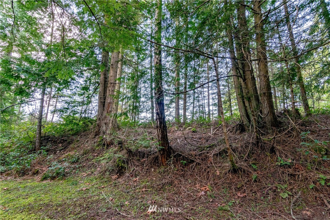 9999 Craig Road Sequim, WA 98382 - Photo 13 of 40 Gallery Image 13