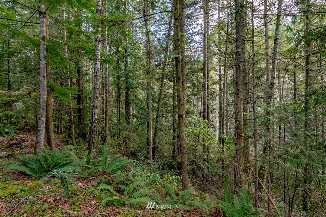 9999 Craig Road Sequim, WA 98382 - Photo 14 of 40 Gallery Image 14