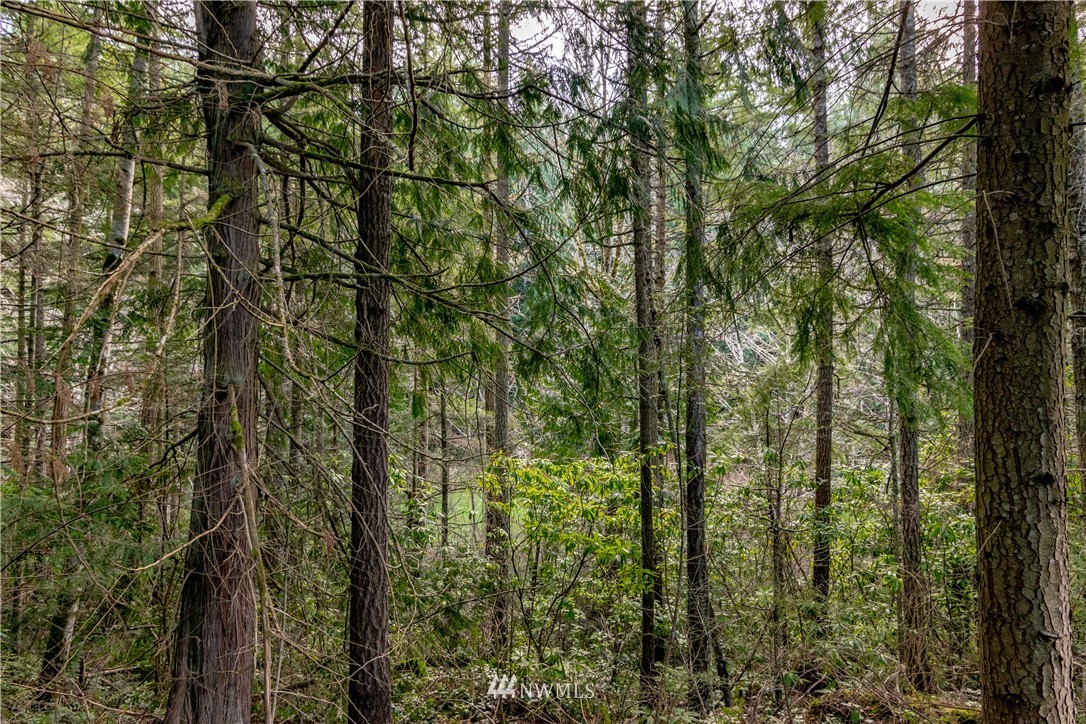 9999 Craig Road Sequim, WA 98382 - Photo 15 of 40 Gallery Image 15