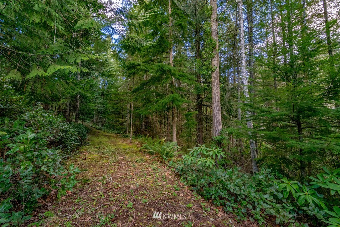 9999 Craig Road Sequim, WA 98382 - Photo 16 of 40 Gallery Image 16