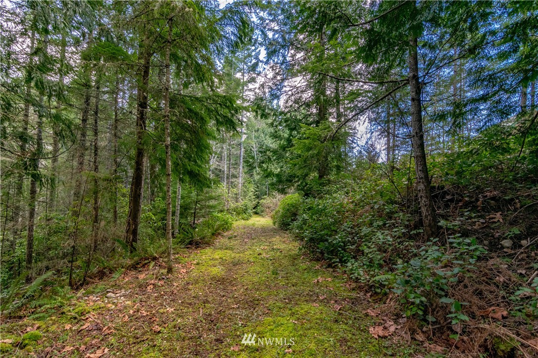 9999 Craig Road Sequim, WA 98382 - Photo 17 of 40 Gallery Image 17