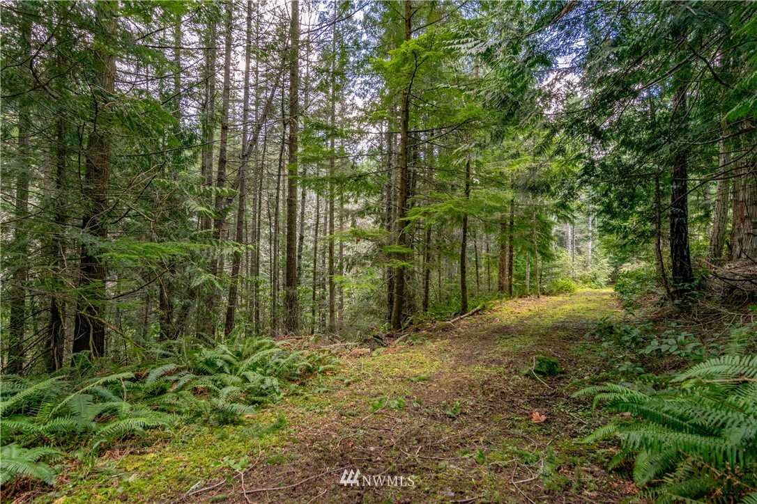 9999 Craig Road Sequim, WA 98382 - Photo 18 of 40 Gallery Image 18