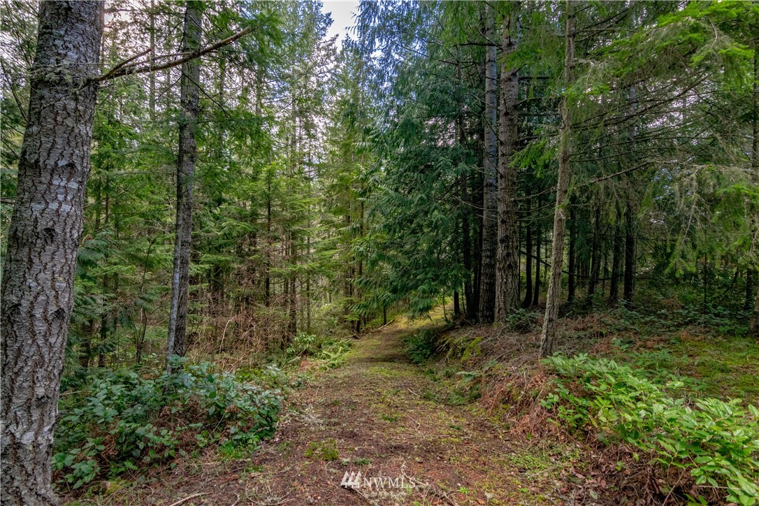 9999 Craig Road Sequim, WA 98382 - Photo 19 of 40 Gallery Image 19