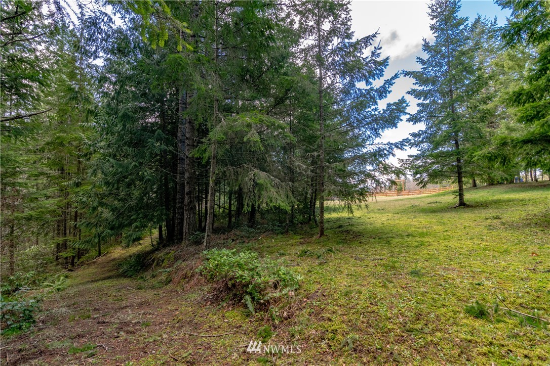 9999 Craig Road Sequim, WA 98382 - Photo 20 of 40 Gallery Image 20