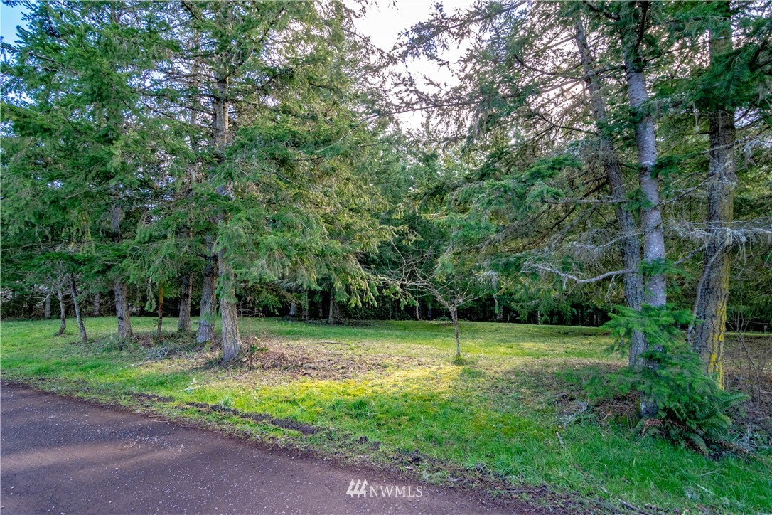 9999 Craig Road Sequim, WA 98382 - Photo 3 of 40 Gallery Image 3