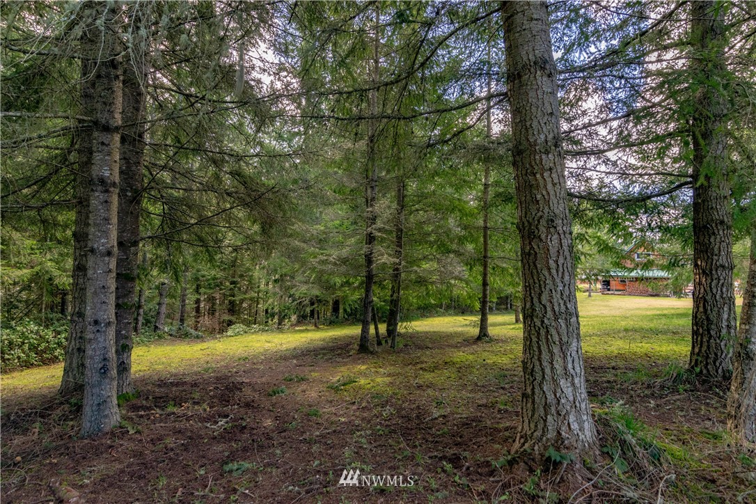 9999 Craig Road Sequim, WA 98382 - Photo 21 of 40 Gallery Image 21