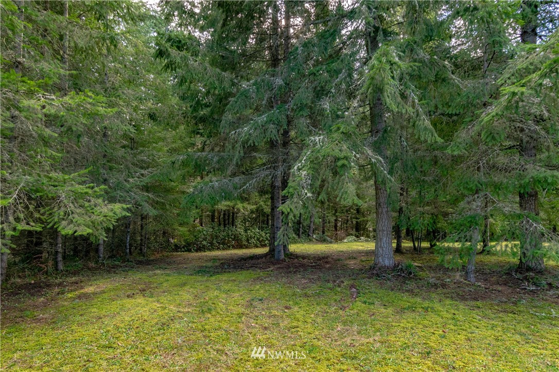 9999 Craig Road Sequim, WA 98382 - Photo 22 of 40 Gallery Image 22