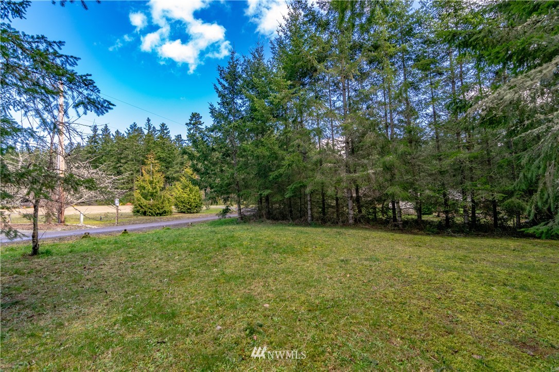 9999 Craig Road Sequim, WA 98382 - Photo 24 of 40 Gallery Image 24