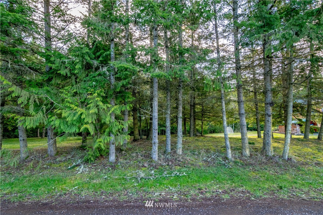 9999 Craig Road Sequim, WA 98382 - Photo 4 of 40 Gallery Image 4