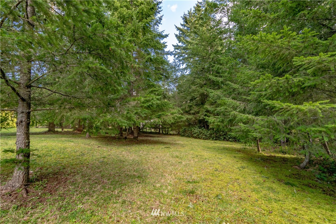 9999 Craig Road Sequim, WA 98382 - Photo 31 of 40 Gallery Image 31