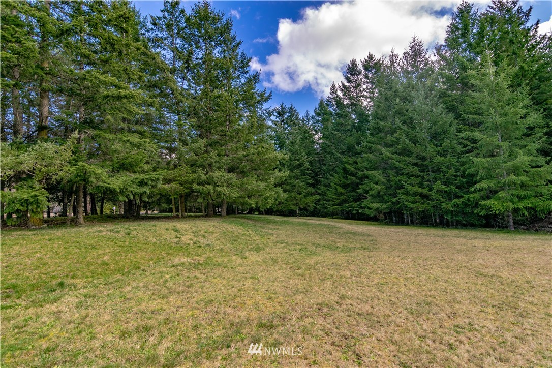 9999 Craig Road Sequim, WA 98382 - Photo 38 of 40 Gallery Image 38
