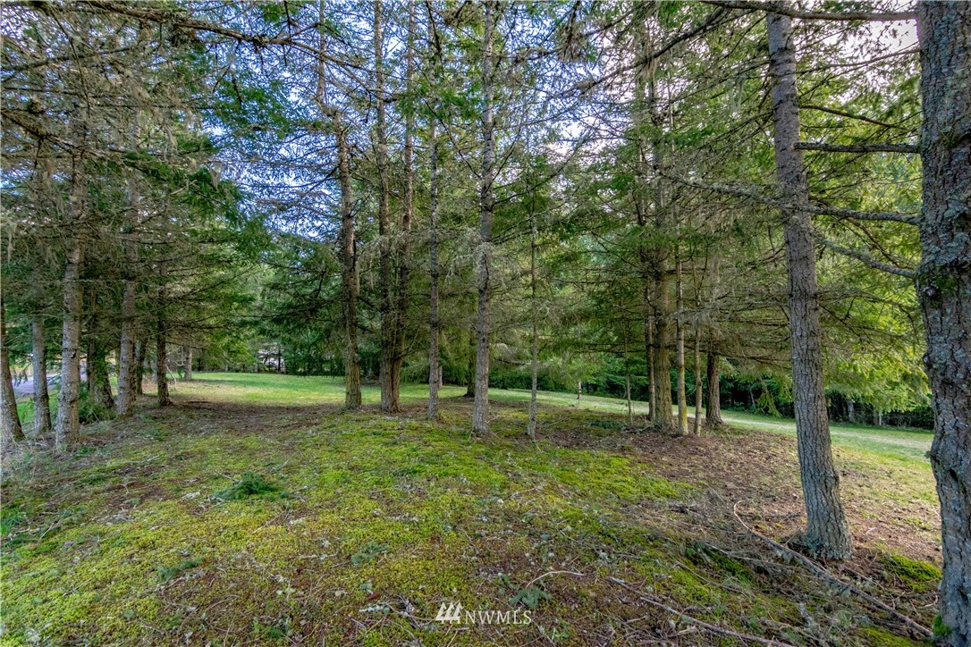9999 Craig Road Sequim, WA 98382 - Photo 6 of 40 Gallery Image 6