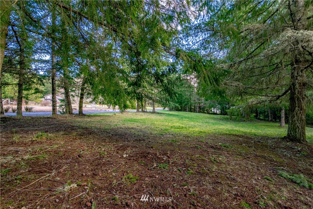 9999 Craig Road Sequim, WA 98382 - Photo 7 of 40 Gallery Image 7