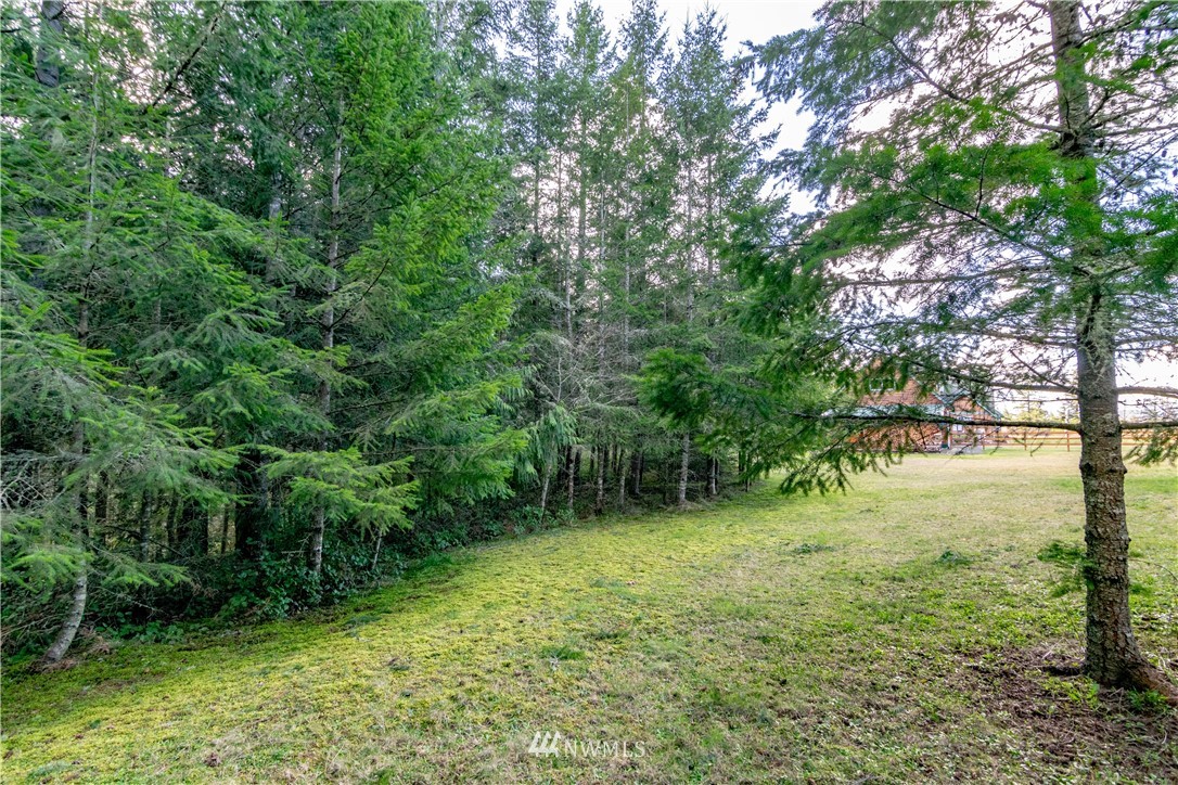 9999 Craig Road Sequim, WA 98382 - Photo 9 of 40 Gallery Image 9