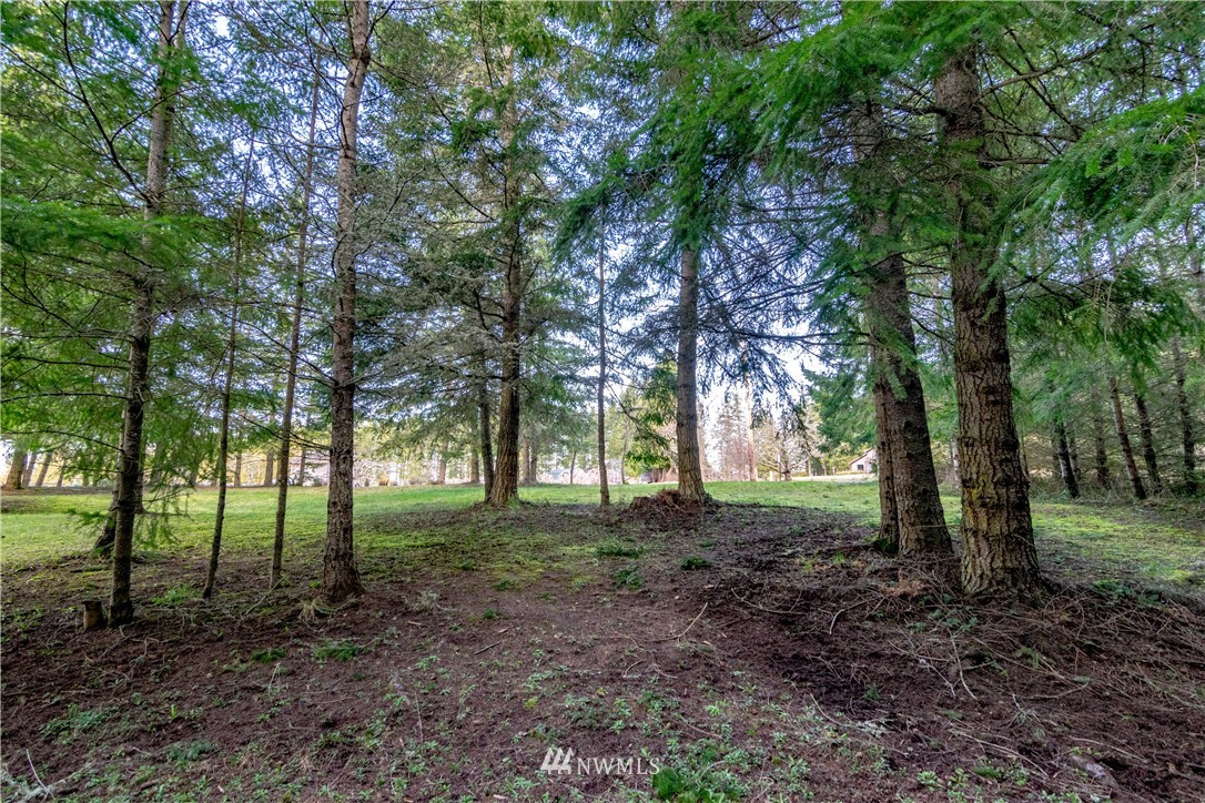 9999 Craig Road Sequim, WA 98382 - Photo 10 of 40 Gallery Image 10
