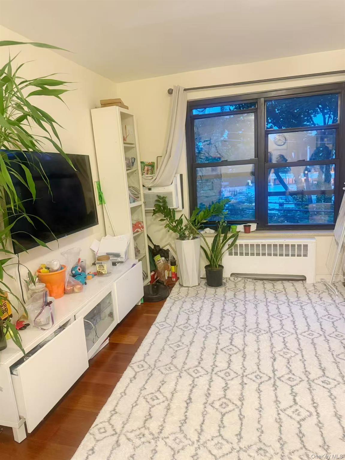 46 Terrace Circle, Unit 2C Great Neck, NY 11021 - Photo 7 of 14 Living room featuring radiator heating unit and dark wood-type flooring