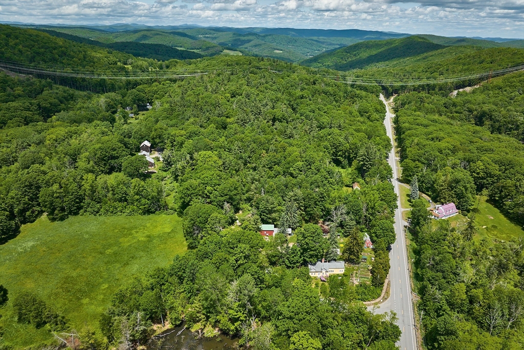 30 Smith Road Ashfield, MA 01330 - Photo 40 of 41 a view of a lush green forest with lots of trees