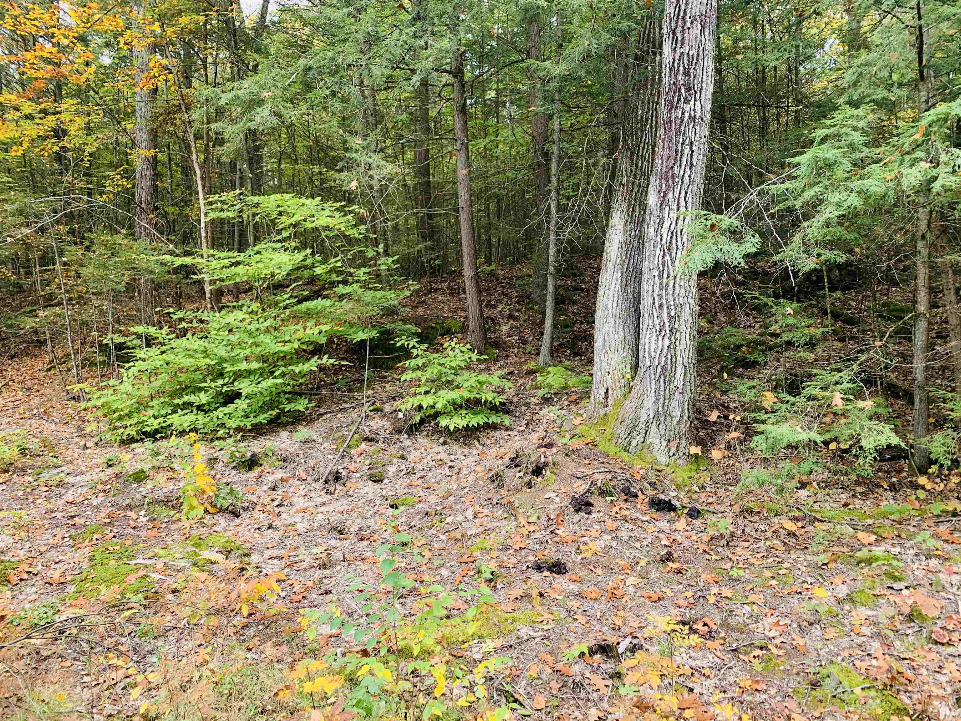 0 Meany Road Charlestown, NH 03603 - Photo 3 of 19