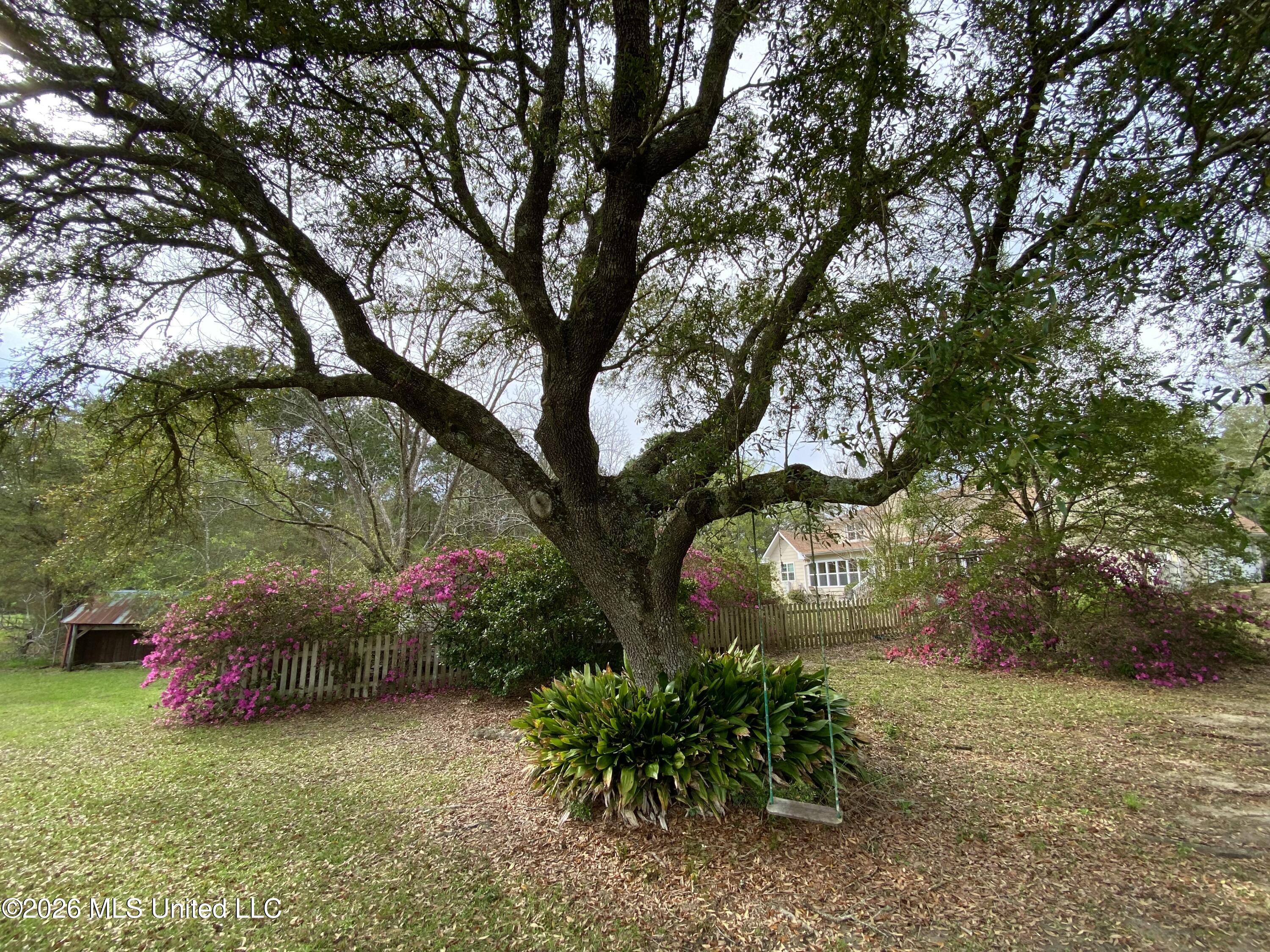 299 Quitman Perry Road Carriere, MS 39426 - Photo 7 of 79 3C, House, Side ViewIMG_8755