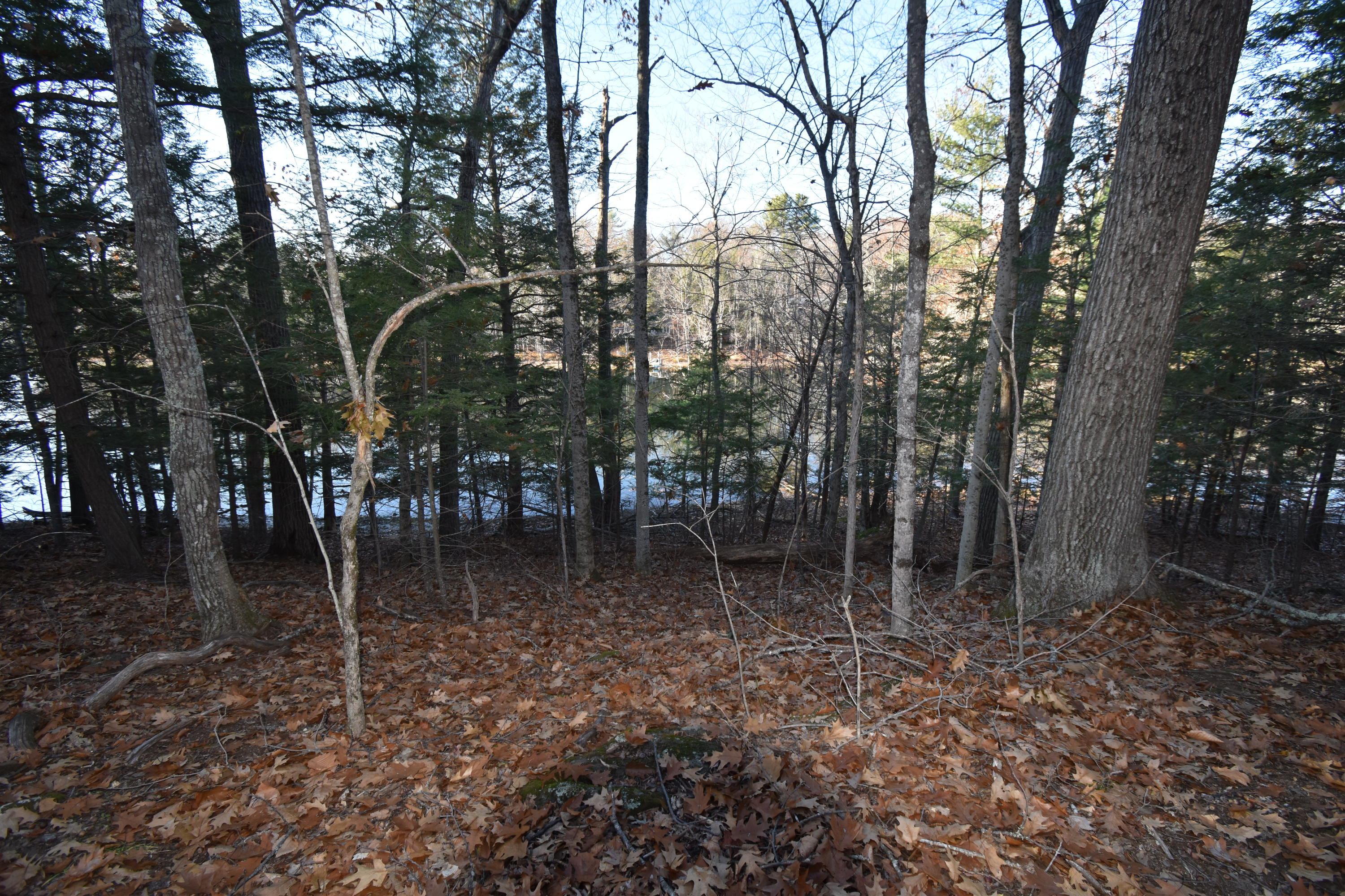 0 Lunts Hill Road Litchfield, ME 04350 - Photo 38 of 80 DSC_0889