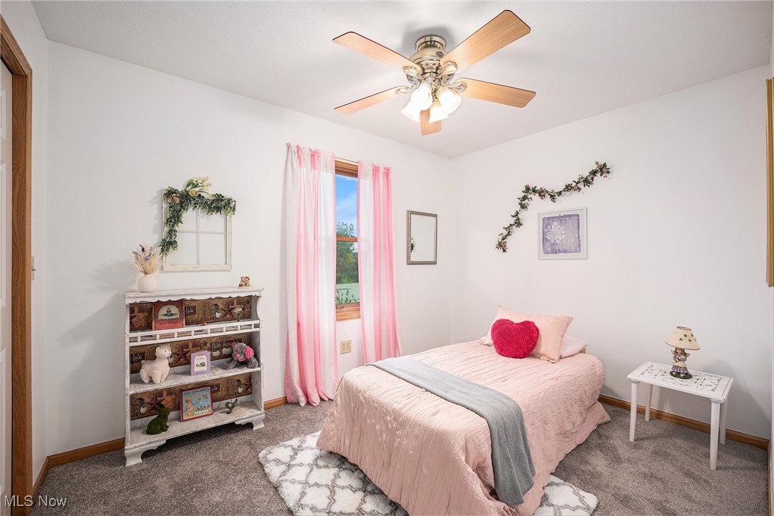2073 Sexton Road Austinburg, OH 44010 - Photo 22 of 32 Carpeted bedroom featuring a ceiling fan and baseboards