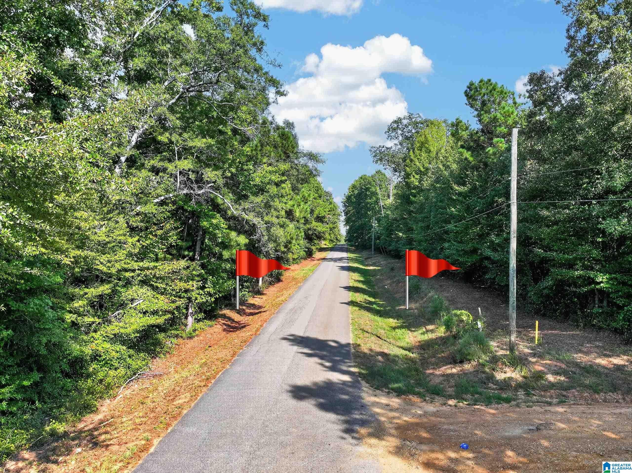 0 Liberty Lyles Road Ethelsville, AL 35461 - Photo 5 of 23 Gallery Image 5