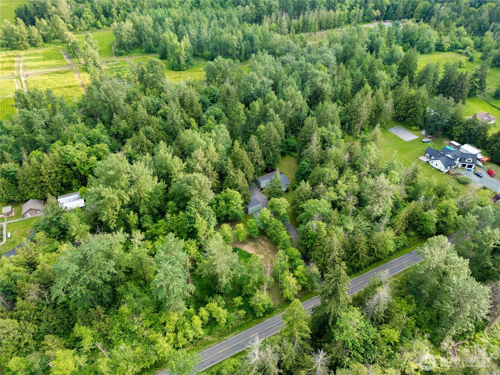 1535 Ten Mile Road Everson, WA 98247 - Photo 10 of 40 an aerial view of residential house with outdoor space and trees all around