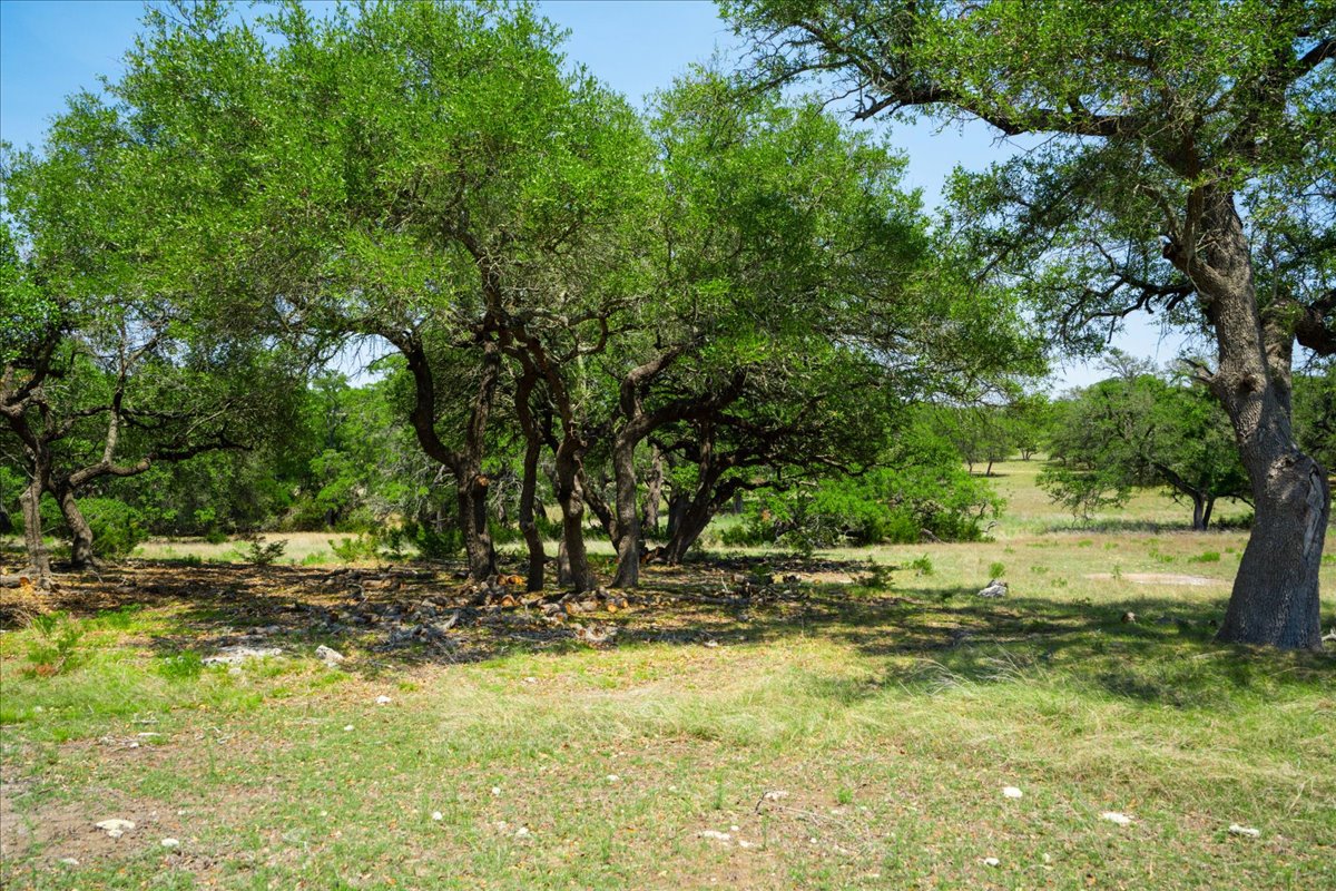 7890 Highway 290 Dripping Springs, TX 78620 - Photo 32 of 33