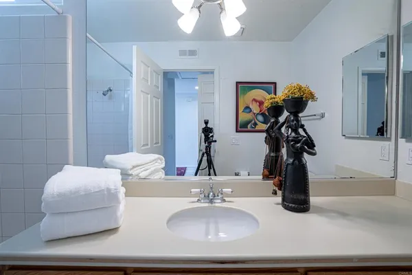 a bathroom with a sink a mirror and a potted plant