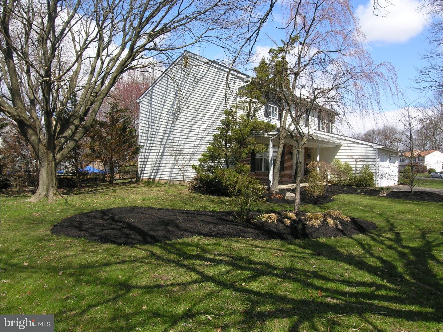 Side Yard