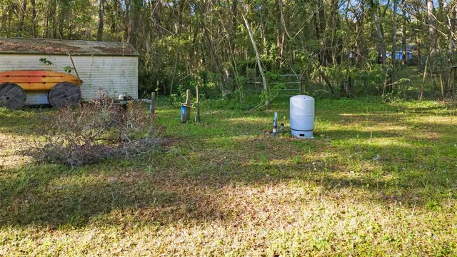 a view of a yard with large trees