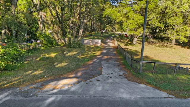 a view of a park with large trees