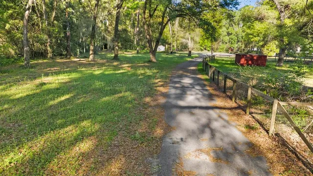 a view of a yard with a trees