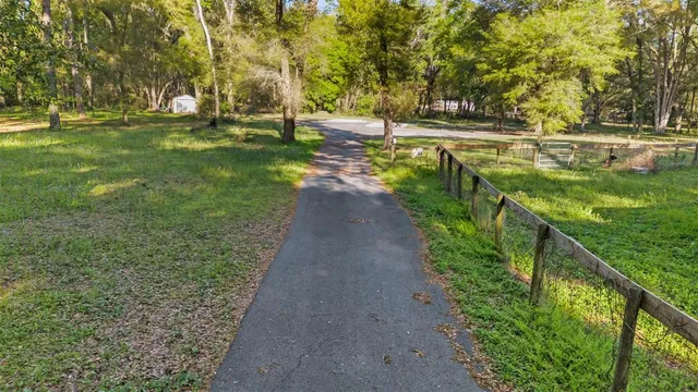 a view of a lake with a bench under large trees
