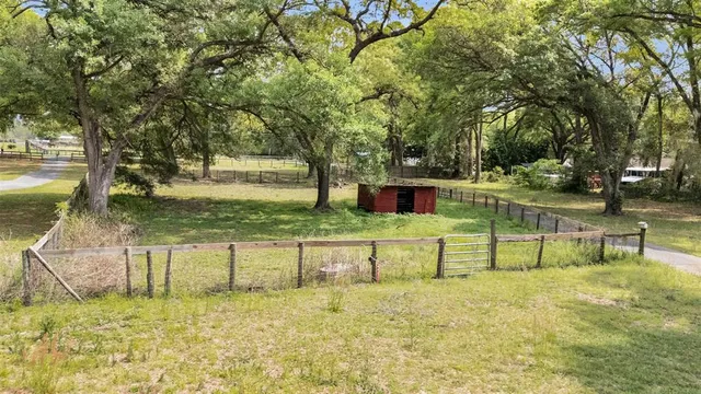 a view of a yard with trees