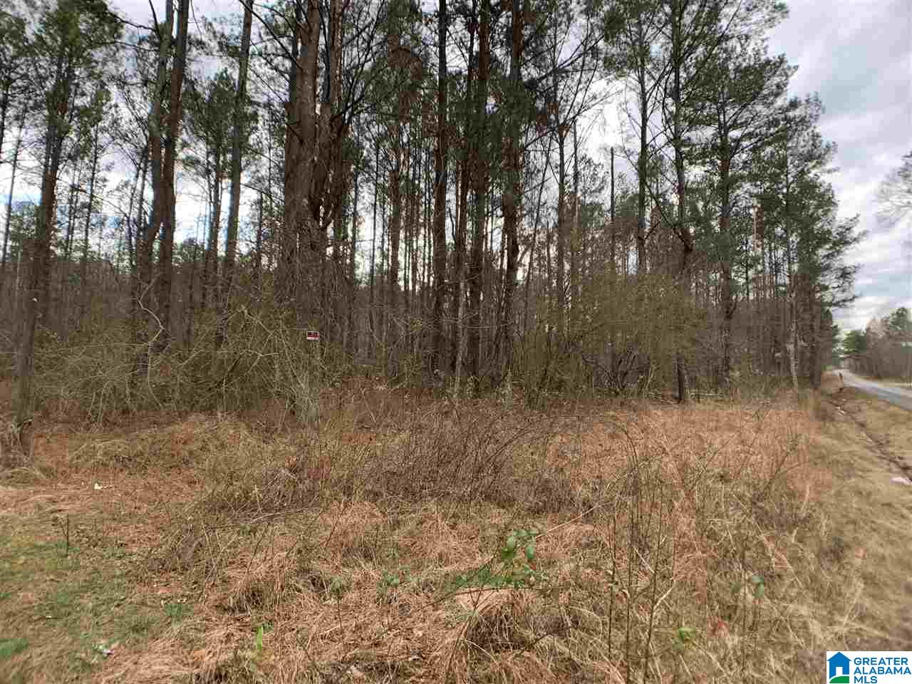 0 Possum Trot Road Piedmont, AL 36272 - Photo 3 of 13
