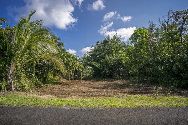 7 Kumukahi Road Pahoa, HI 96778 - Photo 18 of 24 Gallery Image 18
