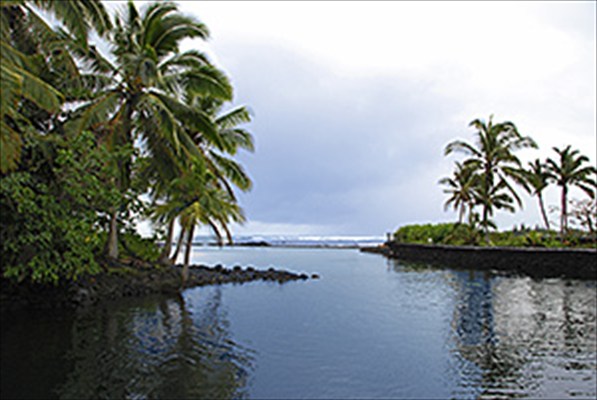 7 Kumukahi Road Pahoa, HI 96778 - Photo 20 of 24 Gallery Image 20