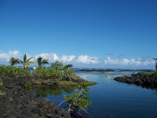 7 Kumukahi Road Pahoa, HI 96778 - Photo 22 of 24 Gallery Image 22
