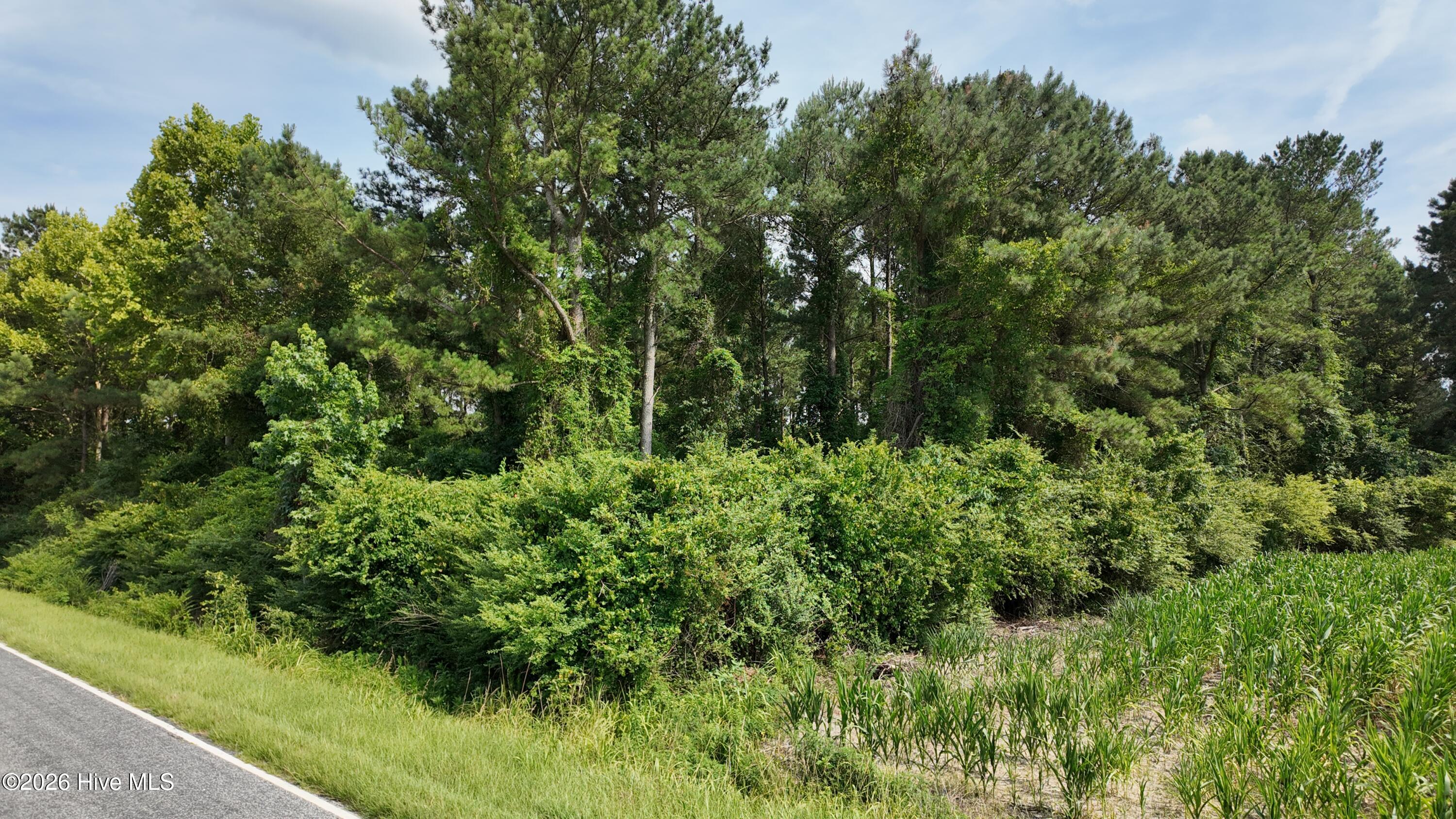 0 Ludie Brown Road Chinquapin, NC 28521 - Photo 6 of 9