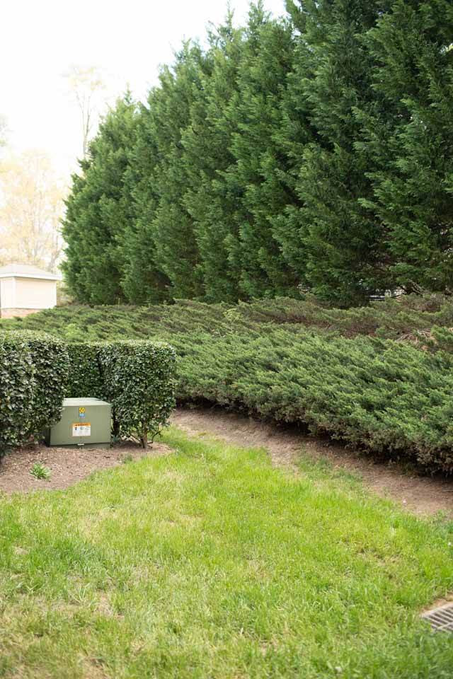 4809 Glass Tower Way Raleigh, NC 27612 - Photo 28 of 29 Back Yard View