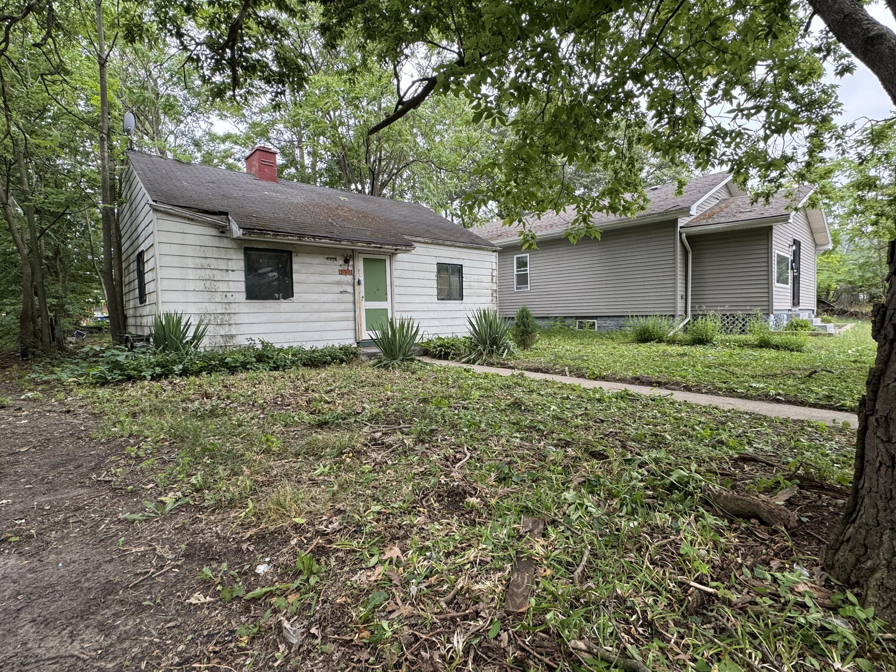 a backyard of a house with plants and large tree