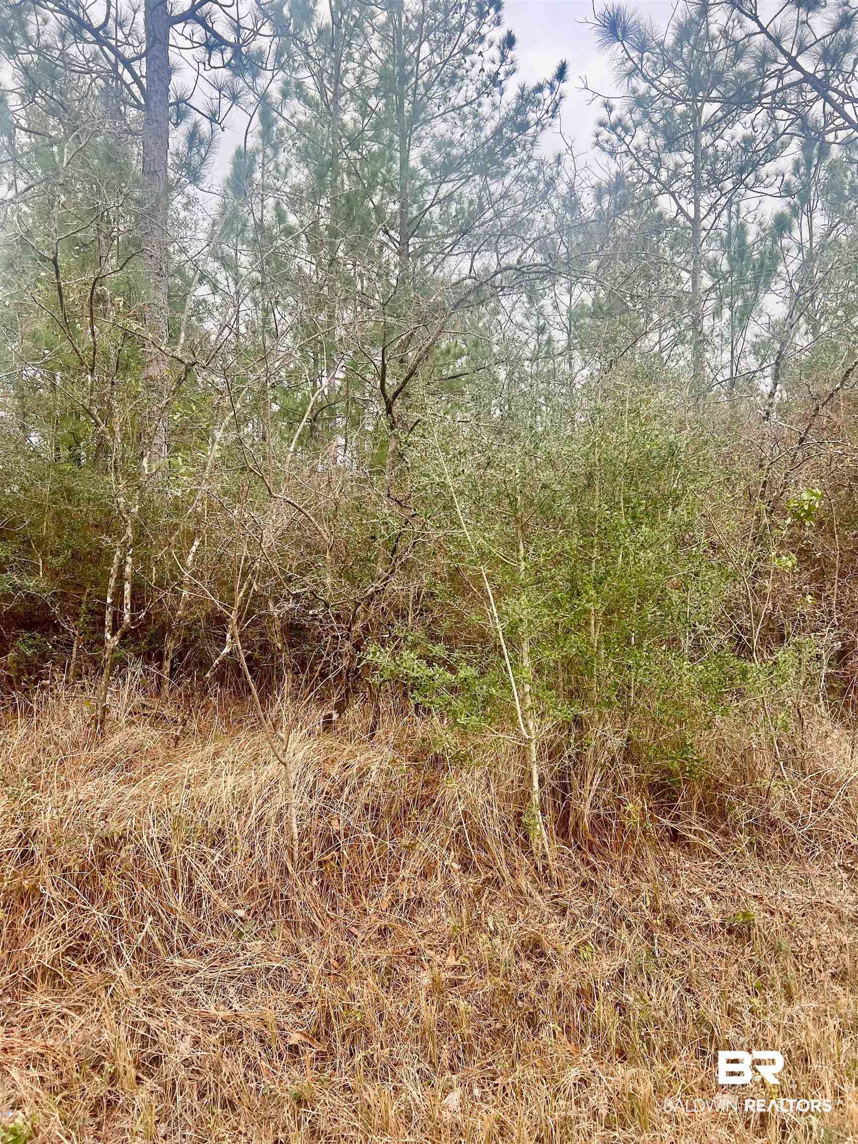 0 John Shinn Road Chunchula, AL 36521 - Photo 3 of 4