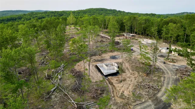 a view of a city with lush green forest
