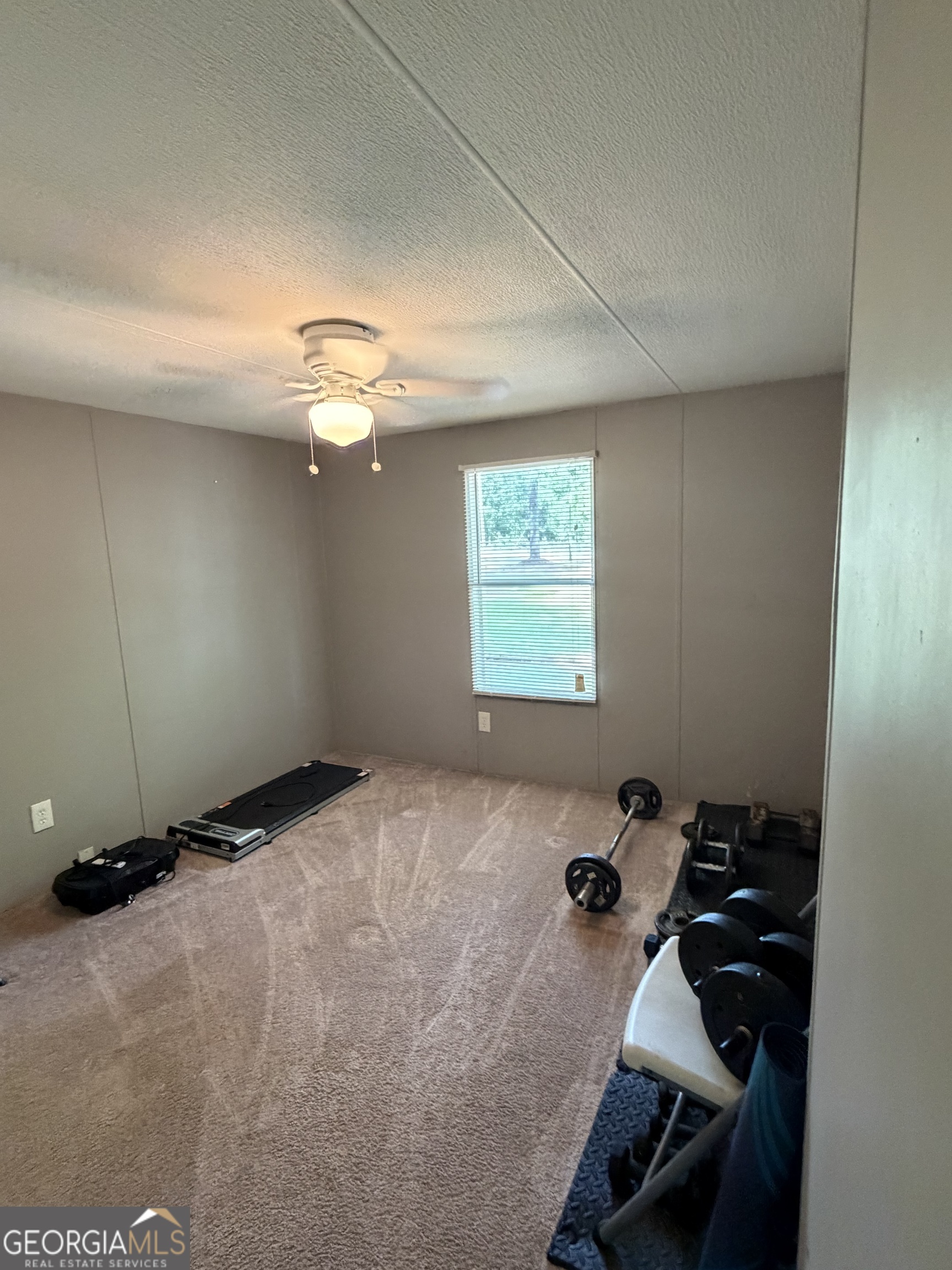 1424 Al Roberts Road Senoia, GA 30276 - Photo 13 of 23