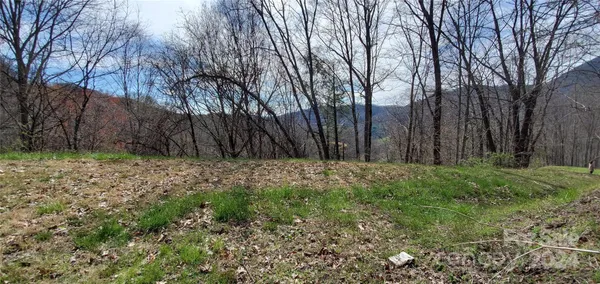 $75,000 | 9999 Sunset Falls Drive, Clyde, NC 28721